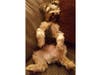 Meet Kodiak! He has been chosen as Bridgewater Patch's Pet Of The Week.