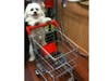 Meet Roy! He has been chosen as Warren Patch's Pet Of The Week.