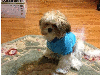 Meet Buddie and Zoey! They have been chosen as Warren Patch's Pets Of The Week.