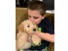 Meet Buddy! He has been chosen as Warren Patch's Pet Of The Week.