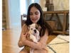 Meet Ollie! He has been chosen as Scotch Plains-Fanwood Patch's Pet Of The Week.