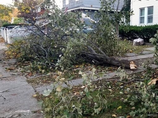 News small post card thumbnail