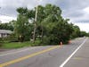 Tree down on Millstone River Road.