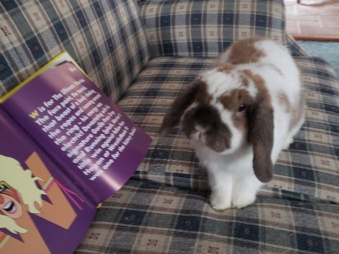 News small post card thumbnail