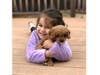 Meet Joy! She has been chosen as Bridgewater Patch's Pet Of The Week. 