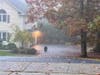 A black bear was spotted early Wednesday morning roaming through Bridgewater.