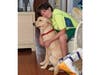 Meet Sammy! He has been chosen as Hillsborough Patch's Pet Of The Week. 