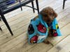 Meet Leo! He has been chosen as Hillsborough Patch's Pet Of The Week. 