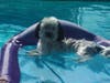 Meet Lola! She has been chosen as Hillsborough Patch's Pet Of The Week.