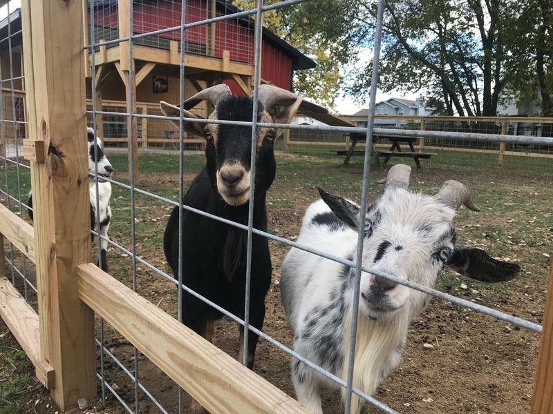 The fair had been held annually in August at North Branch Park in Bridgewater since 1947.