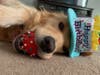 Meet Lucy! She has been chosen as Hillsborough Patch's Pet Of The Week.