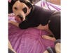 Meet Cooper! He has been chosen as Hillsborough Patch's Pet Of The Week.