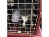 The cats are being assessed and medically treated. Some are suffering from malnutrition, upper respiratory infections and other ailments, said St. Hubert's.