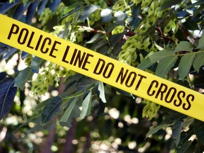 The City of Elizabeth is looking to euthanize two dogs, believed to be pit bulls, who attacked a three-year-old boy Wednesday.