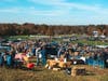 On Saturday, Oct. 16, the steeplechase event will officially be celebrating its postponed 100th running.