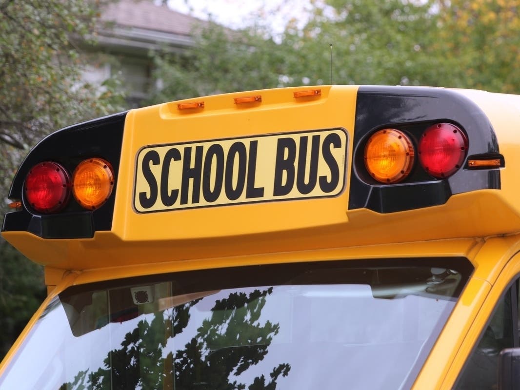 Newly appointed Hillsborough school board member Jason Albanese​ resigned abruptly after serving less than two months.