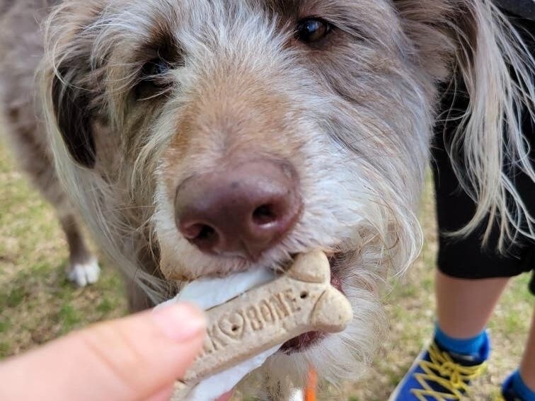 Hillsborough's The Ice House Celebrates 1 Year Anniversary