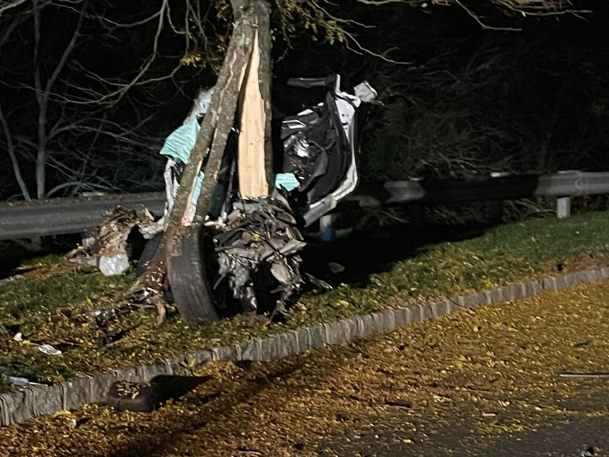 Car Split In Half, Mangled After Crashing Into Hillsborough Tree ...