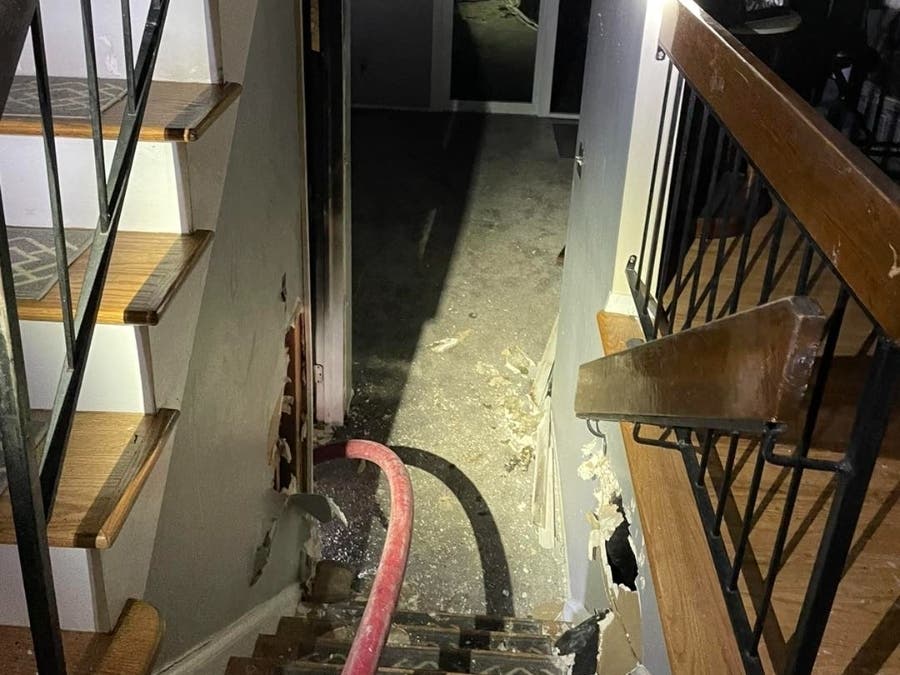 Trapped Dog In Hillsborough Townhouse Fire Dies From Smoke Inhalation ...