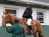 Somerset County Commissioner Director Shanel Robinson rode Olympus, one of the six new horses acquired by the Park Commission for guided trail rides at the Stable at Lord Stirling Park.
