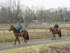 Somerset County Deputy Director Doug Singleterry (r) went on a trail ride with Cupid, one of the six new horses acquired by the Park Commission for guided trail rides at the Stable at Lord Stirling Park.