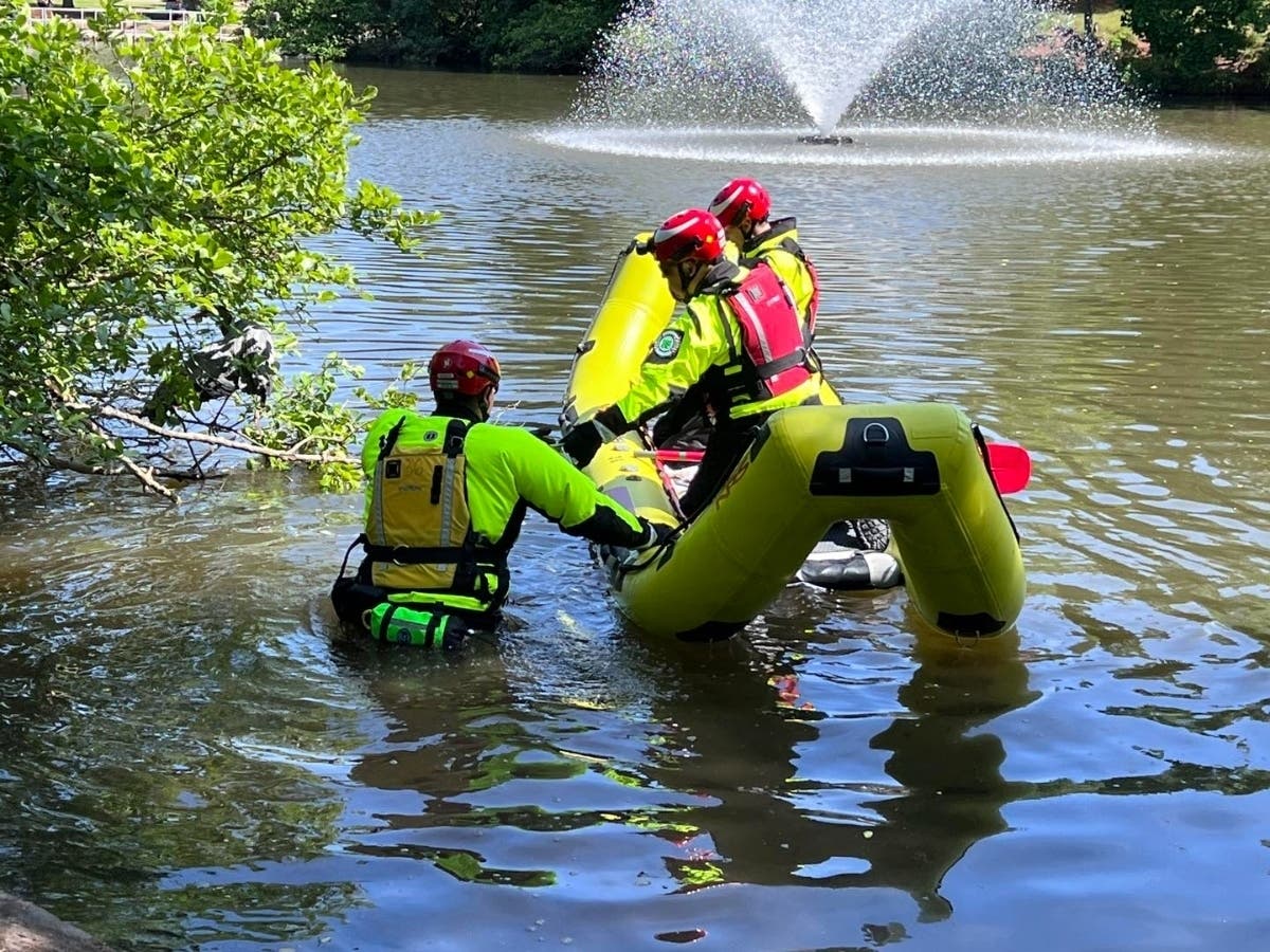 Hillsborough Firefighters Rescue Blue Heron Tangled In Fishing Line ...