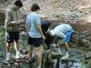 On May 15, Westfield High School environmental science students
enjoyed a walking field trip to Tamaques Park, where they worked at various stations along
Robinson Creek to examine the health of the stream.