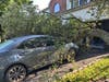 A tree fell on Girish Chhamunya's car while parked at home on Peterson Road in Hillsborough.