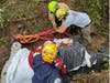 South Branch Emergency Services, as part of the Hunterdon County Technical Rescue Task Force along with other responders helped to rescue the horse.
