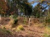 With the first planting now completed, the Green Team is looking to begin preparations for the second planting, scheduled for 2024, of what will be a 4 phase project