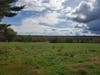 A photo of the newly preserved land in summer, looking south toward the Sourland Mountain.