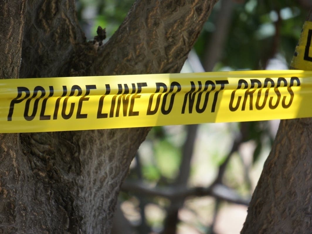 A forensic analysis of human remains was released on Friday.