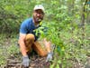 Robert Lucas, RHA's restoration coordinator, planting a tree