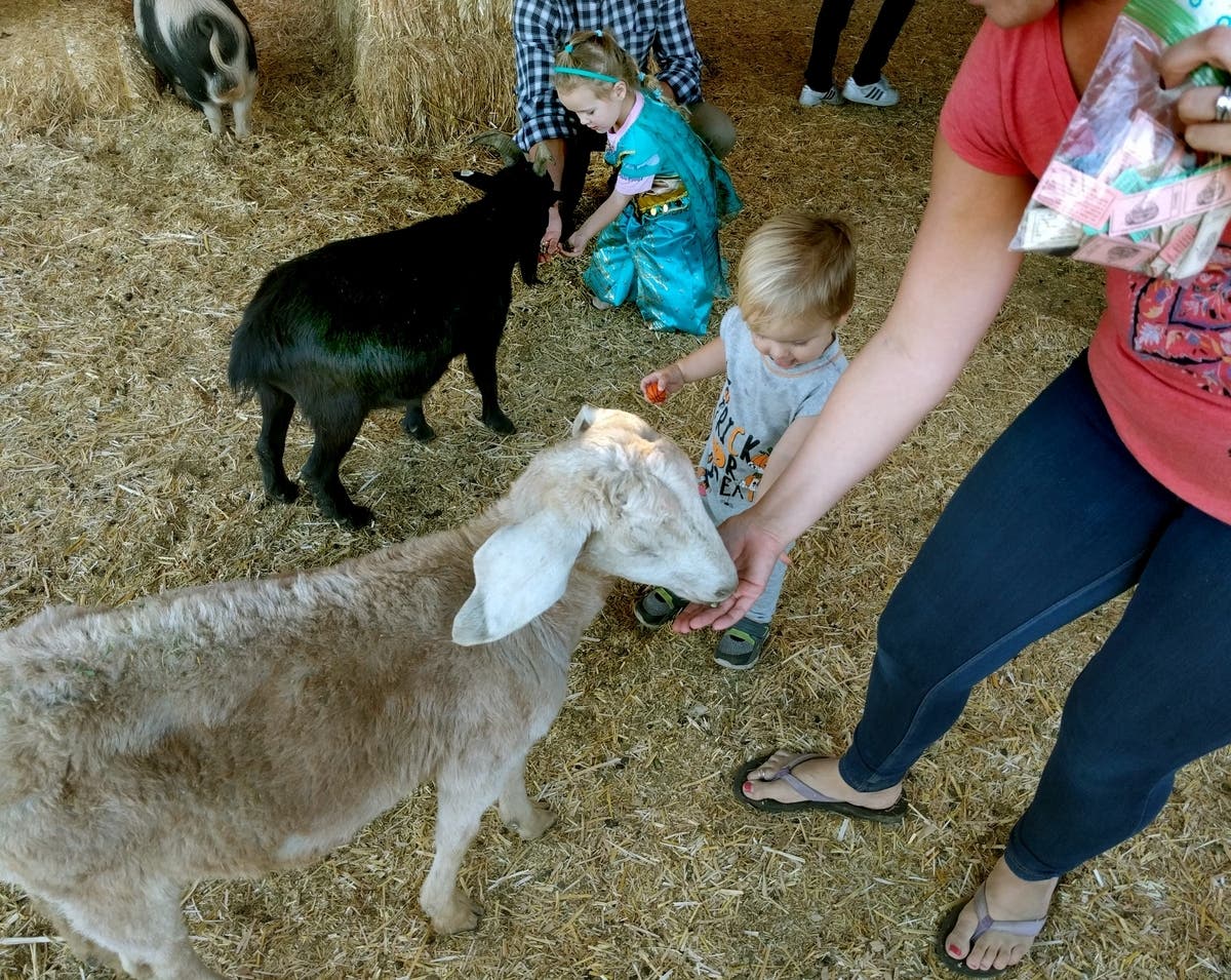The fair will be held daily from 10 a.m. to 10 p.m. on Aug. 7, 8, and 9 at North Branch Park in Bridgewater.