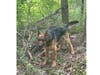 Timber.