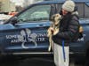 Somerset Regional Animal Shelter Assistant Brittany Pellegrino with one of the rescued Huskies.