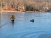 On Tuesday at 7:23 a.m., Watchung Police got a report of a deer stuck on the ice of Watchung Lake.