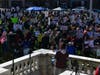 Protestors at the Somerset County Courthouse for the "No Kings" protests against President Donald Trump on Saturday.