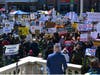 Protestors at the Somerset County Courthouse for the "No Kings" protests against President Donald Trump on Saturday.