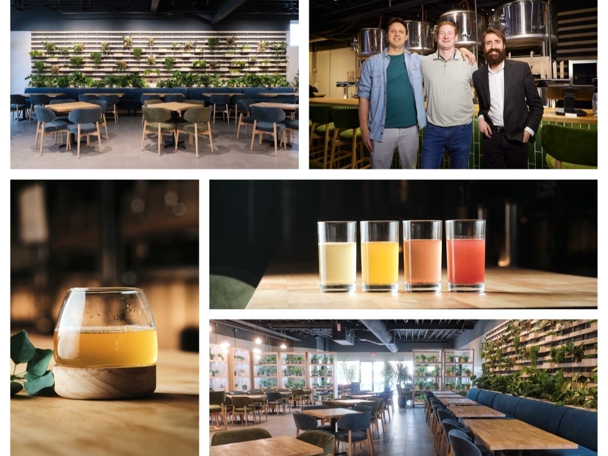 Three friends turned brewers are sharing their passion for mead, or honey wine, with the opening of Somerset County's first meadery called Middlemist.