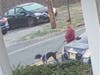 A dog was found abandoned, and police are asking for help to find a woman wanted in connection in Hunterdon County on Friday.