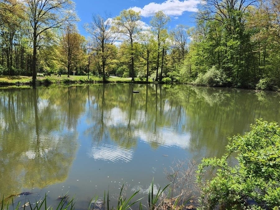 Bernards Township’s Pleasant Valley Park culvert and path project is included in a House funding bill for the upcoming fiscal year, according to Congressman Tom Kean Jr.’s office.