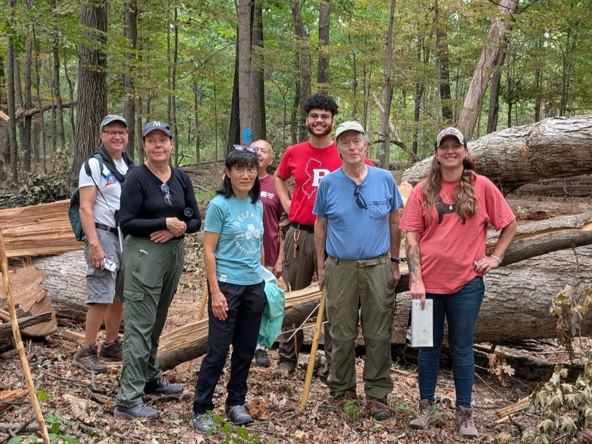 Union County residents interested in nature and volunteer work can apply for the 4-H Master Tree Steward program ahead of its fall training series.