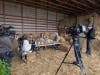 The cast, including Jenni "JWOWW" Farley, Nicole "Snooki" Polizzi, Deena Nicole Cortese, and Sammi "Sweetheart" Giancola, stopped by the farm to make flower crowns, snack on a charcuterie board and pet fluffy cows.