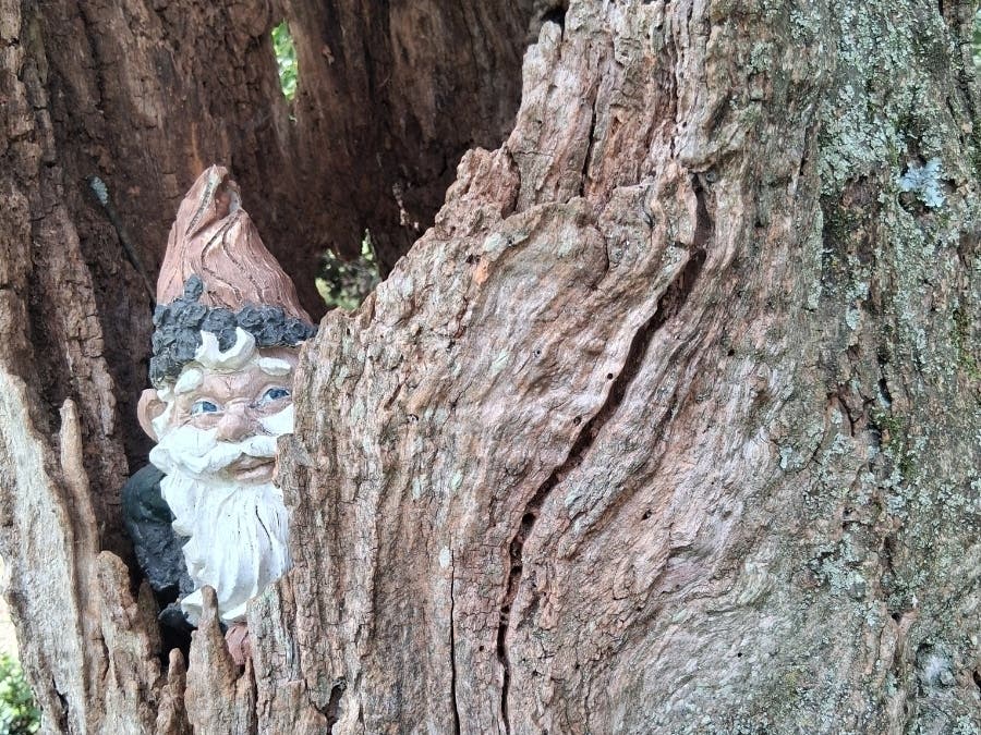 The Somerset County 4-H Center will host its 4-H Medieval Jubilee with a Fairy House Contest on Sunday, Oct. 25.
