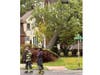 A large tree toppled onto a Fanwood home on Sunday following a Nor'easter.