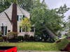 A large tree toppled onto a Fanwood home on Sunday following a Nor'easter.