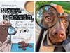 Bridgewater author Amy Jensen is introducing a new dog-inspired book series featuring her rescue dog, Nosy Norvin.