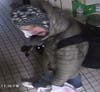 The incident happened on Monday, March 4, at the Holiday Inn on Street Road.