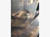 There were about 12 cobras, five rattlesnakes, two other species of snakes and two boa constrictors found